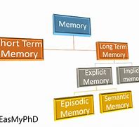 Image result for Types of Implicit Memory