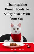 Image result for Thanksgiving Food Safe for Cats