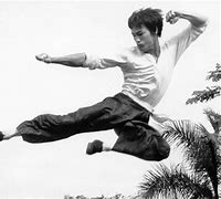 Image result for Kung Fu Kick