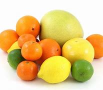 Image result for Lemon Lime Orange Tree