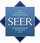 Image result for Seer by Galaroth Logo