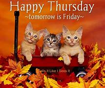 Image result for Happy Thursday Cat Meme