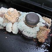 Image result for Copper Sulfate Battery Corrosion