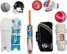 Image result for SS Cricket Kit PNG
