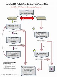 Image result for Printable ACLS Algorithms