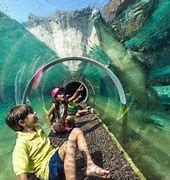Image result for Things to Do in Miami Gor Kids