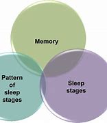 Image result for Sleep and Memory Study
