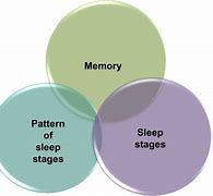 Image result for Rem Sleep and Memory Consolidation