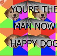 Image result for Advice Dog Meme