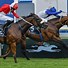 Image result for Horse Racing Saturday Cards