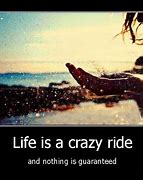 Image result for Crazy Fun Life Quotes