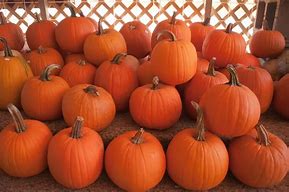 Image result for Frowning Pumpkin