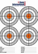 Image result for Targets for Shooting Guns