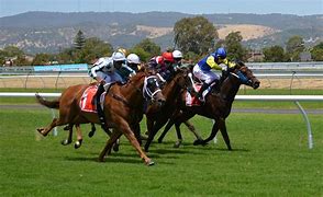 Image result for Horse Jockey One Hand