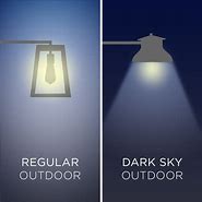 Image result for Dark Sky Light Fixtures