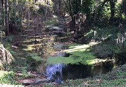 Image result for Overlook Park Florida