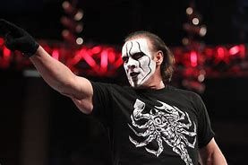 Image result for WWE Sting Wrestler