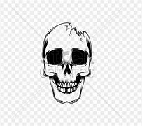 Image result for Adobe Crack Skull