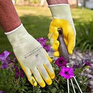 Image result for Gardening with Disposable Gloves