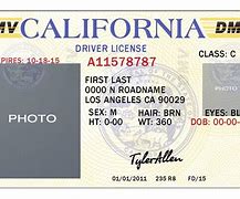 Image result for Free Editable California ID Templates