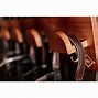 Image result for Bridle Hangers