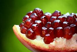 Image result for Free Images Fruit Seeds