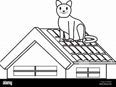Image result for Roof Cat Meme