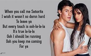 Image result for Shawn Mendes Camila Cabello Song