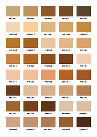 Image result for What Are the Numbers On Pantone Rose Tone and Holly Tone