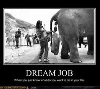 Image result for Funny Dream Job Memes