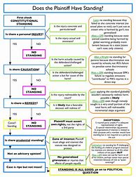 Image result for Con Law Flow Chart