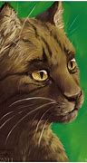 Image result for Brambleclaw Warrior Cats