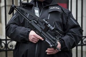 Image result for Armed Police Guns
