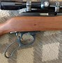 Image result for Ace Hardware 22 Rifles