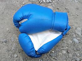 Image result for Boxing Gloves Black and White