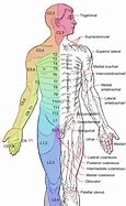 Image result for Herpetic Neuralgia
