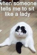 Image result for Cat Watching Phone Meme
