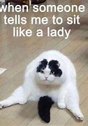 Image result for Nyan Cat Memes