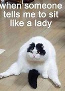 Image result for Rich Cat Meme