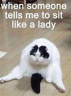 Image result for Standing Cat Meme Name