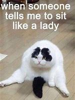Image result for Black White Cat Yay Meme