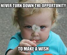 Image result for Funny Wish Products
