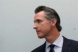 Image result for Gavin Newsom Restaurant