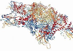Image result for P53 Sequence