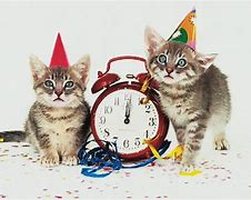 Image result for Happy New Year Kitten Images