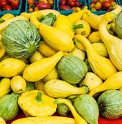 Image result for Edible Squash Varieties