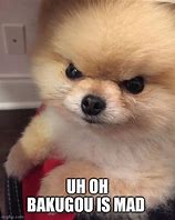 Image result for Dog Angry Meme Image