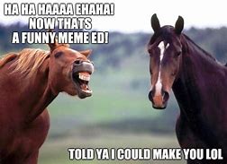 Image result for Good Horse Meme