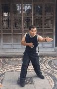 Image result for Kung Fu Animal Forms