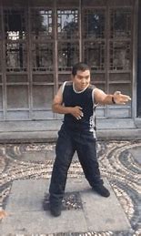 Image result for Kung Fu Styles Based On Animals